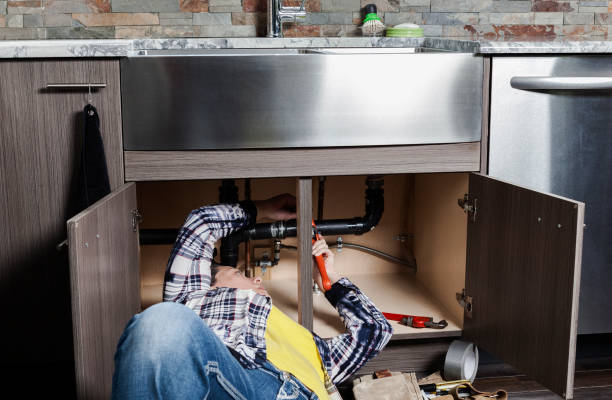 Best Local Plumber Services  in Clayton, MO